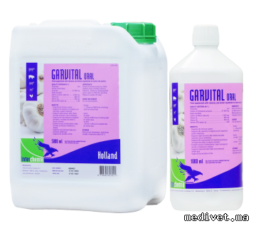 Garvital Oral