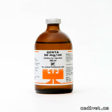 Genta