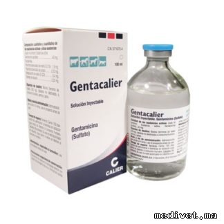 GENTACALIER
