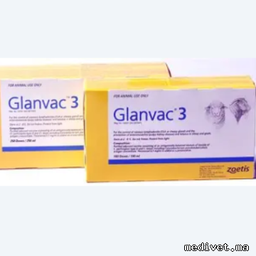 Glanvac 3