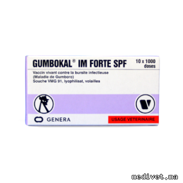 Gumbokal IM Forte SPF