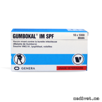 GUMBOKAL IM SPF