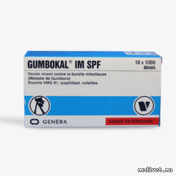 GUMBOKAL IM SPF