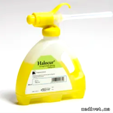 HALOCUR