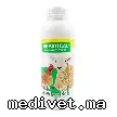 HEPATICAL