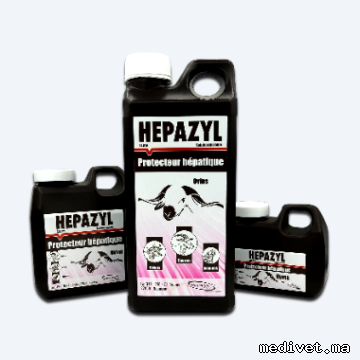 HEPAZYL