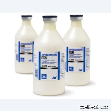HIPRAGUMBORO BP L2