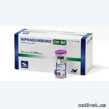 HIPRAGUMBORO CH/80