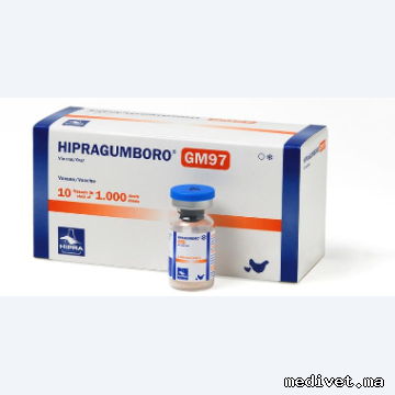 HIPRAGUMBORO GM 97