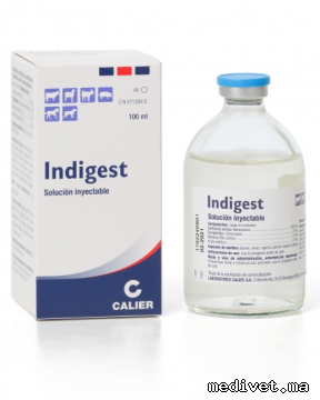 INDIGEST