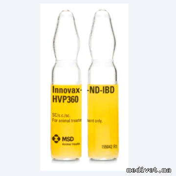 INNOVAX-ND-IBD