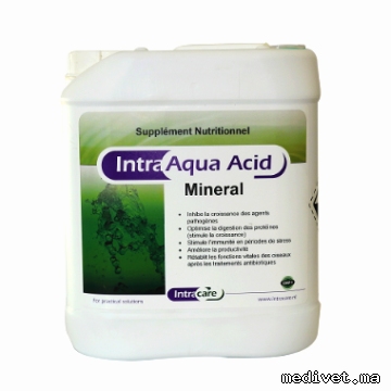 INTRA AQUA ACID MINERAL