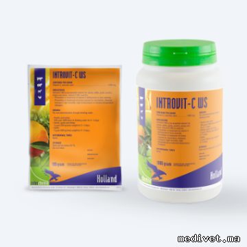 Introvit-C WS