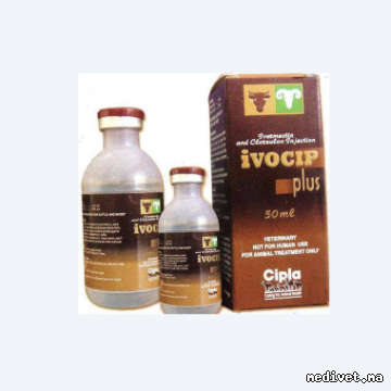 IVOCIP PLUS