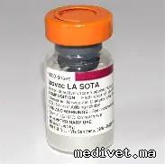 IZOVAC LA SOTA