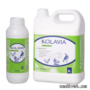 KOLAVIA