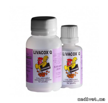LIVACOX Q