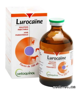 LUROCAINE