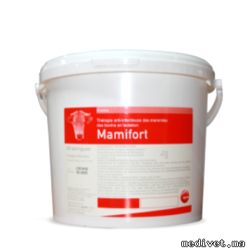 MAMIFORT