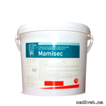 Mamisec