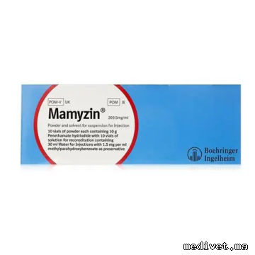 Mamyzin