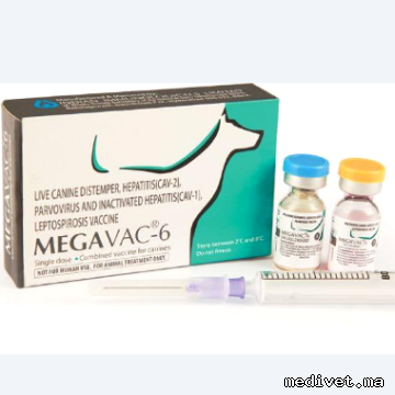 MEGAVAC-6
