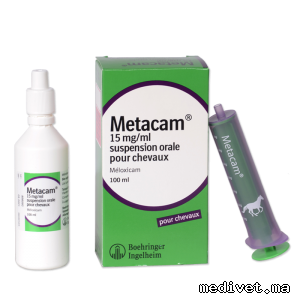METACAM