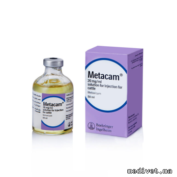 METACAM