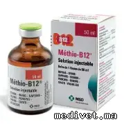 METHIO B 12