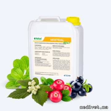 Mixtral