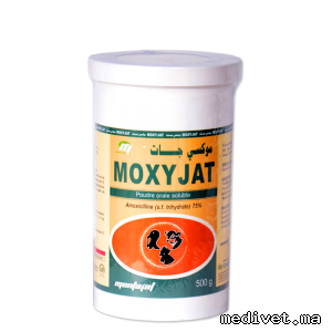 MOXYJAT