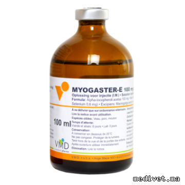 MYOGASTER-E
