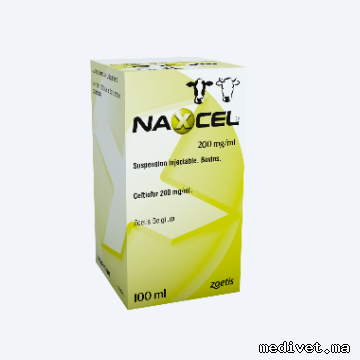 NAXCEL