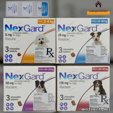 NEXGARD