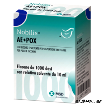 NOBILIS AE+POX