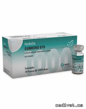 NOBILIS GUMBORO D 78