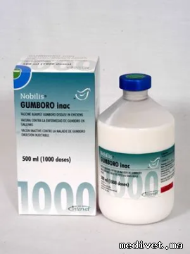 Nobilis Gumboro Inac