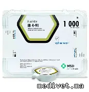 Nobilis IB 4/91