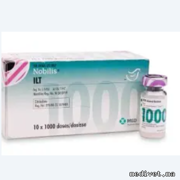 Nobilis ILT