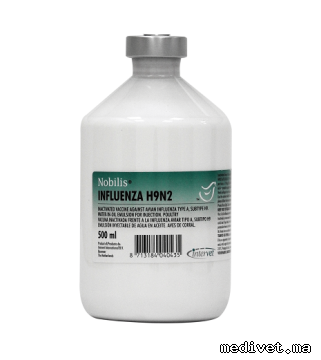 NOBILIS INFLUENZA H9N2