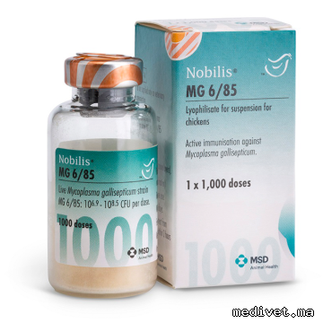 Nobilis MG 6/85