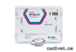 NOBILIS ND CLONE 30