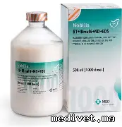 NOBILIS RT+IBMULTI+ND+EDS
