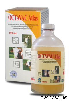 OCTAVAC ATLAS