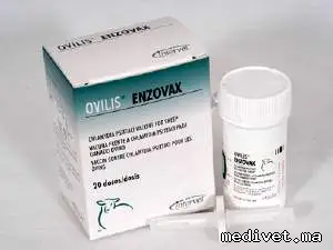 Ovilis Enzovax