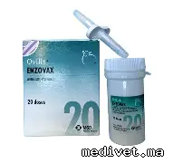 Ovilis Enzovax