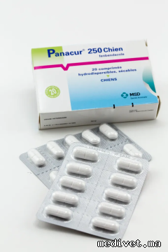 Panacur