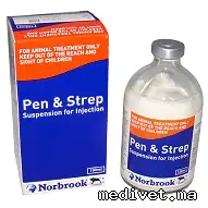PEN & STREP