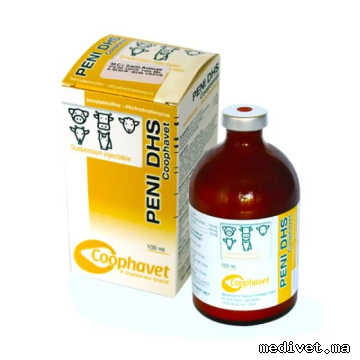 PENI DHS 20+20