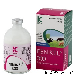 PENIKEL 300